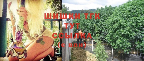 PSILOCYBIN Куйбышев