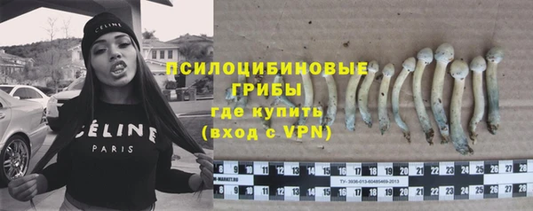 PSILOCYBIN Куйбышев