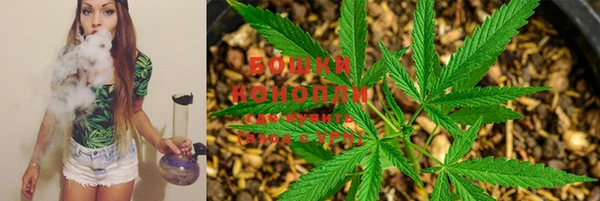 PSILOCYBIN Куйбышев