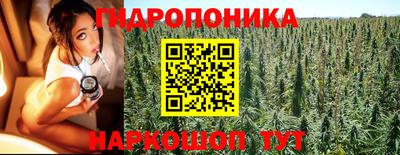 mdpv Бийск