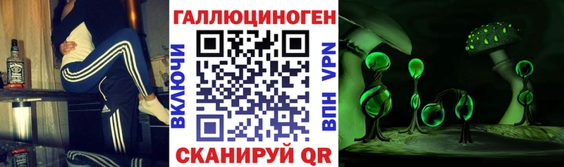 купить  цена  KRAKEN tor  Галлюциногенные грибы Psilocybe  Дербент 